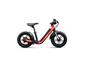 Balance bike ducati hot sale
