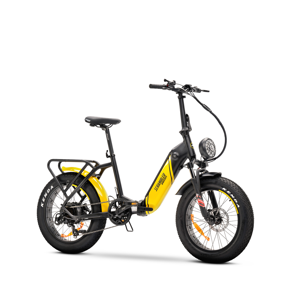 Pay Pal Bici Pagamento A Rate Bici Elettrica Con Batteria Integrata Fat  Bike Tornado 250W